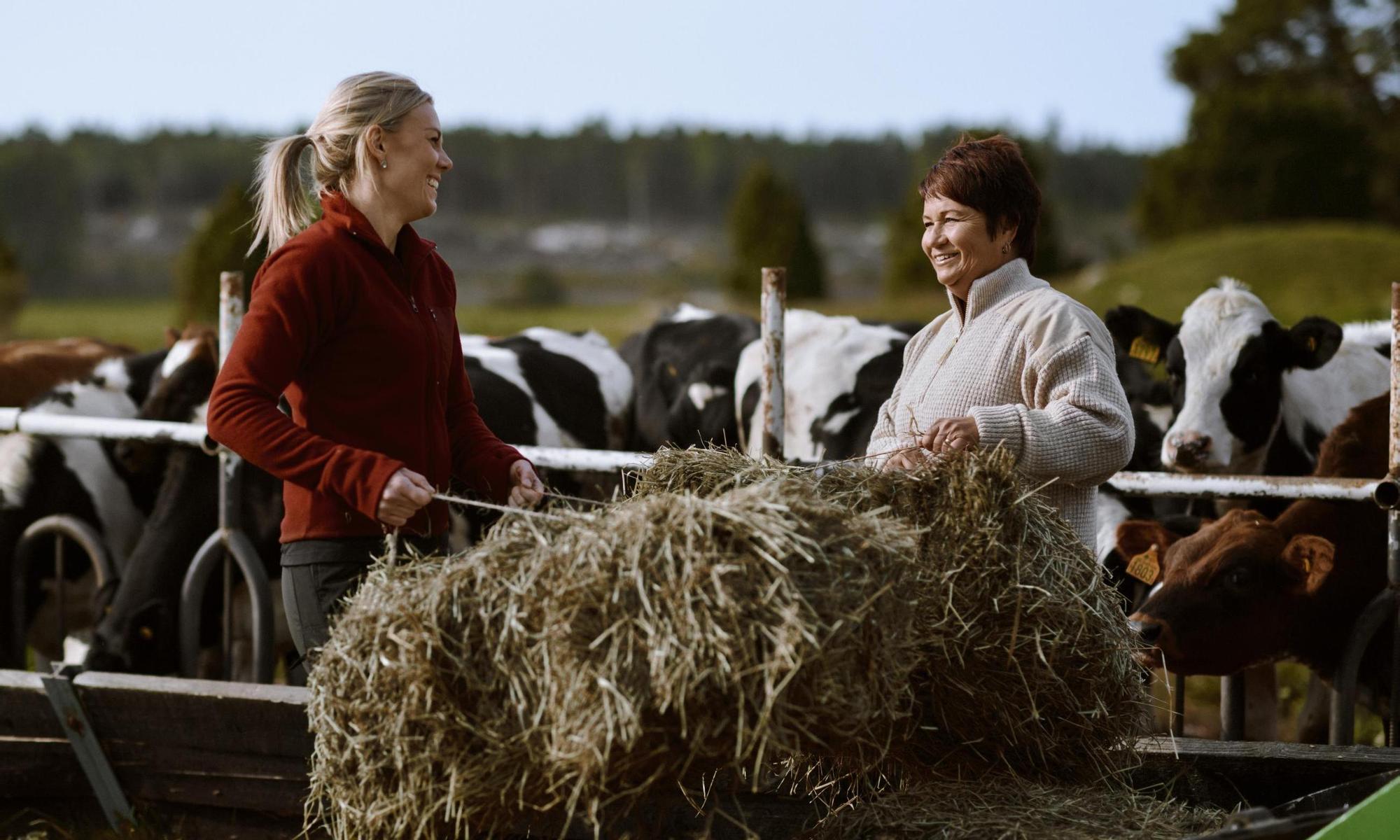 Two female farmers working with hay
