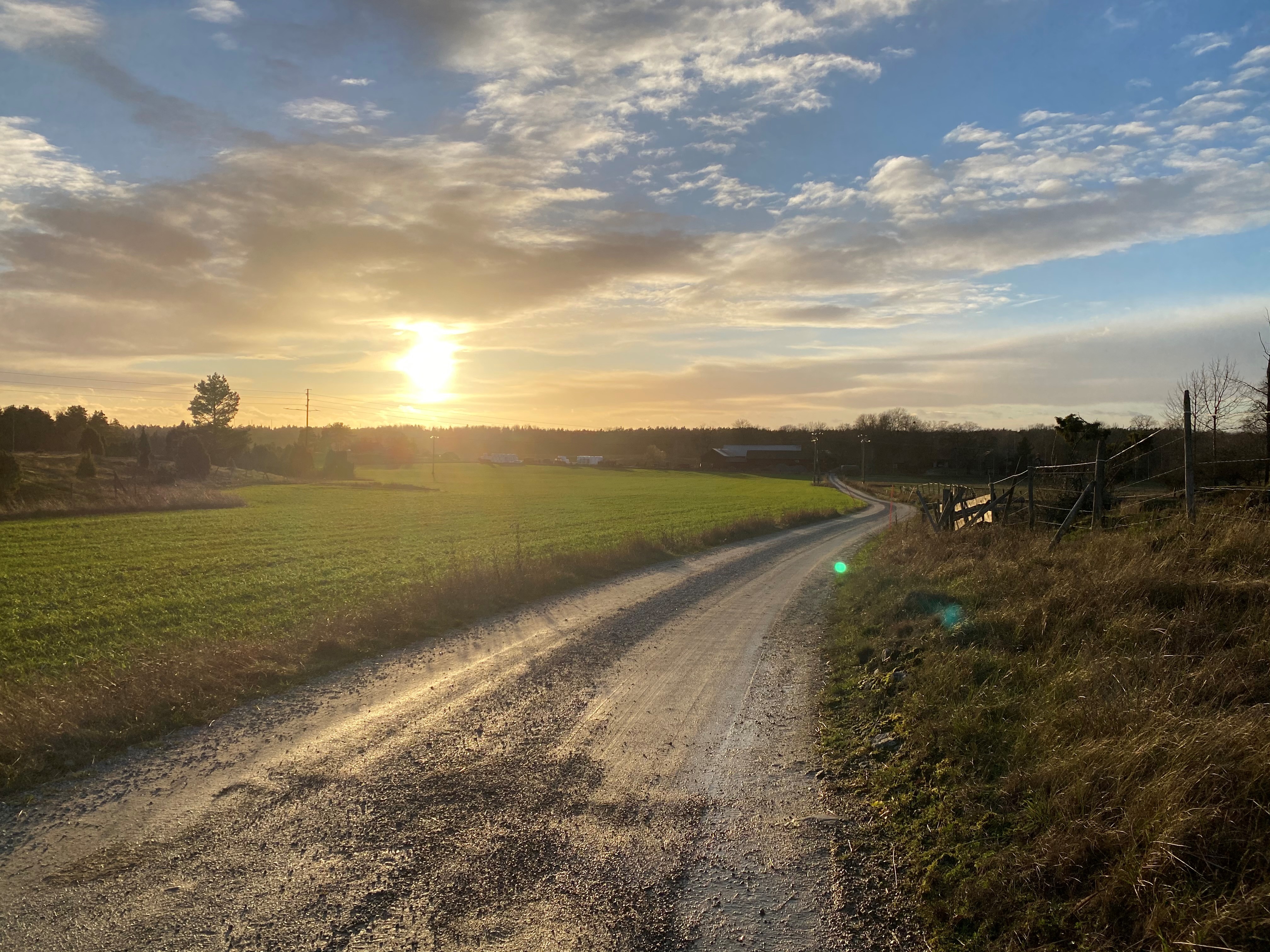 En grusväg vid Hemsta hagar i kvällssol