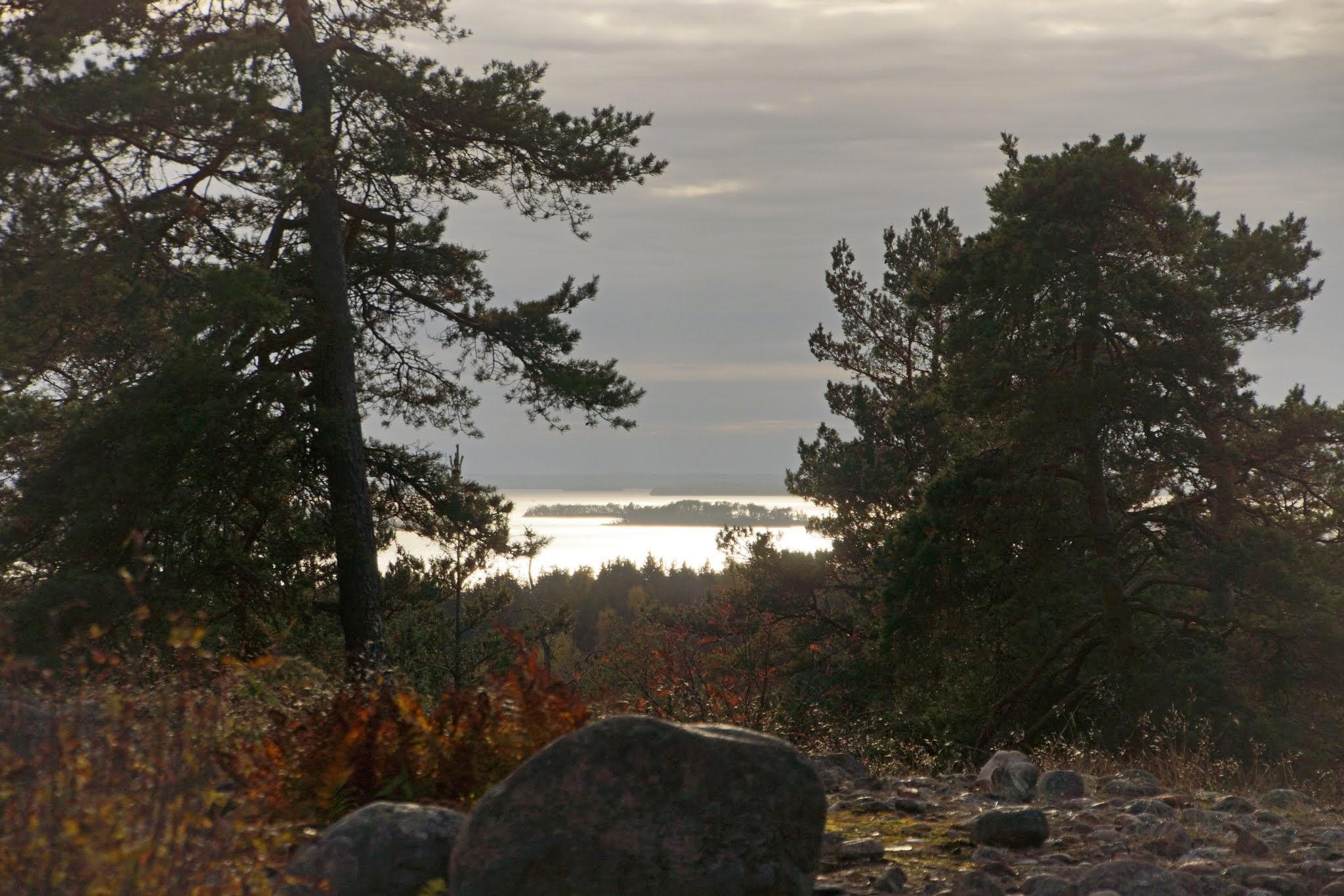 sjöglimt från Rösarings naturreservat