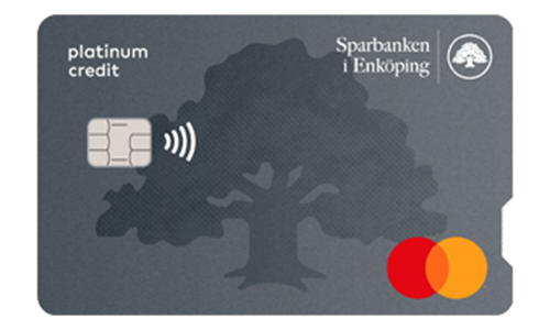 Betal- och kreditkort MasterCard Platinum