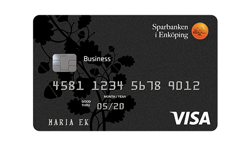 Visa Business card