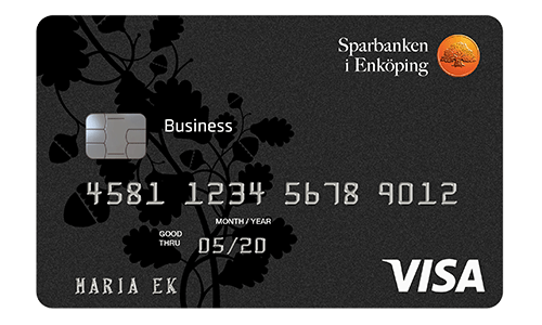 Visa Business Card