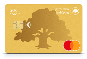 betal-och kreditkort mastercard guld